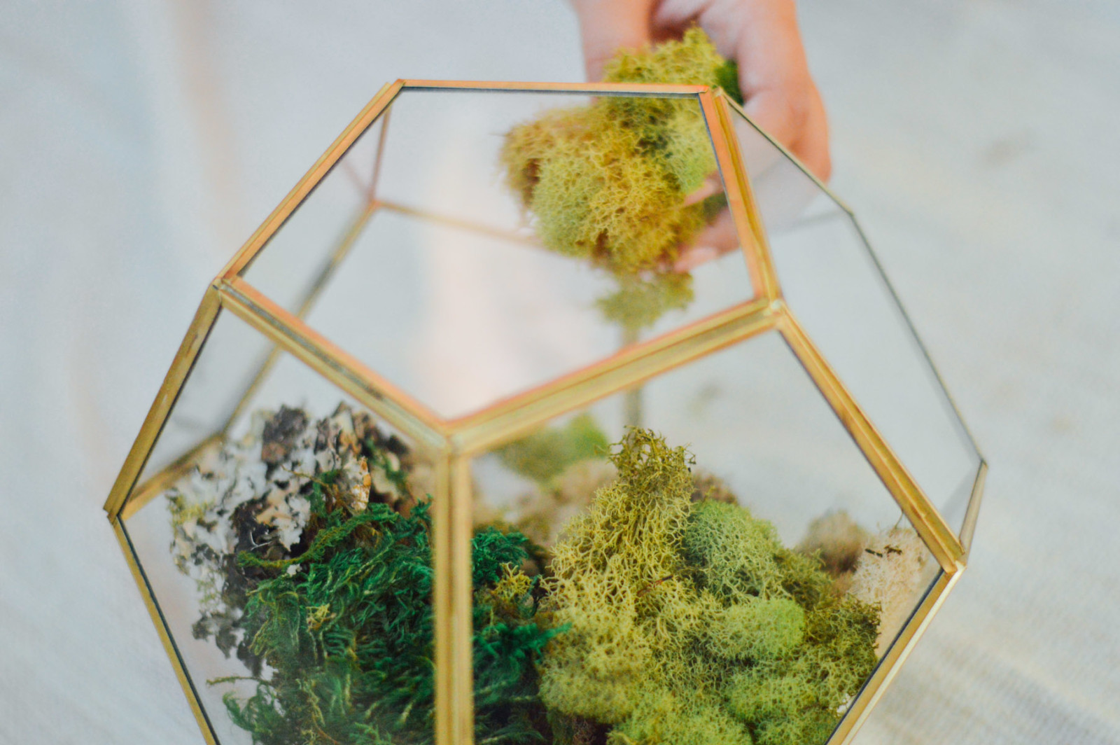 Diy Decorative Terrarium In 5 Steps By Gabriella