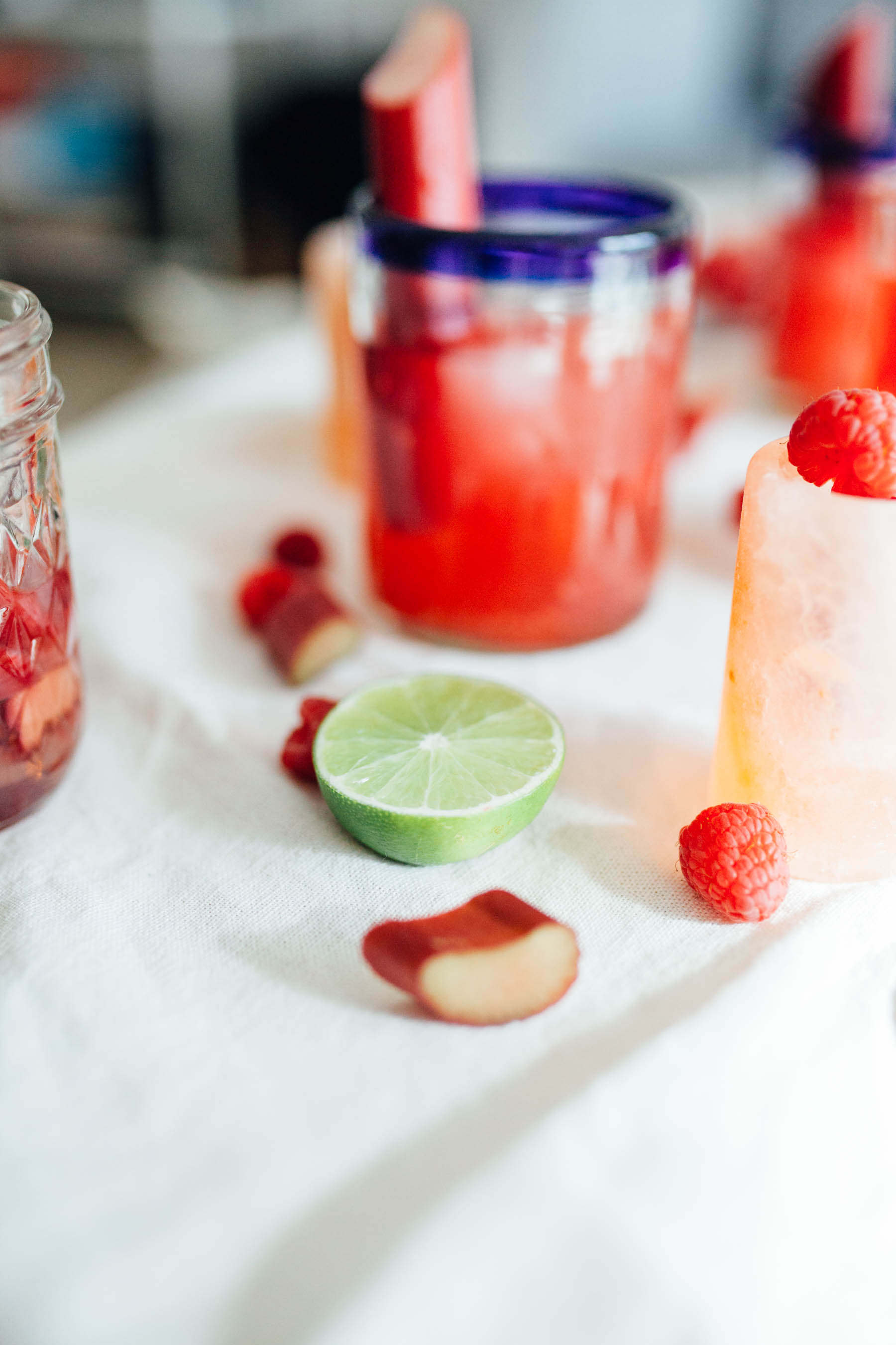 Raspberry Rhubarb Margarita Recipe | By Gabriella