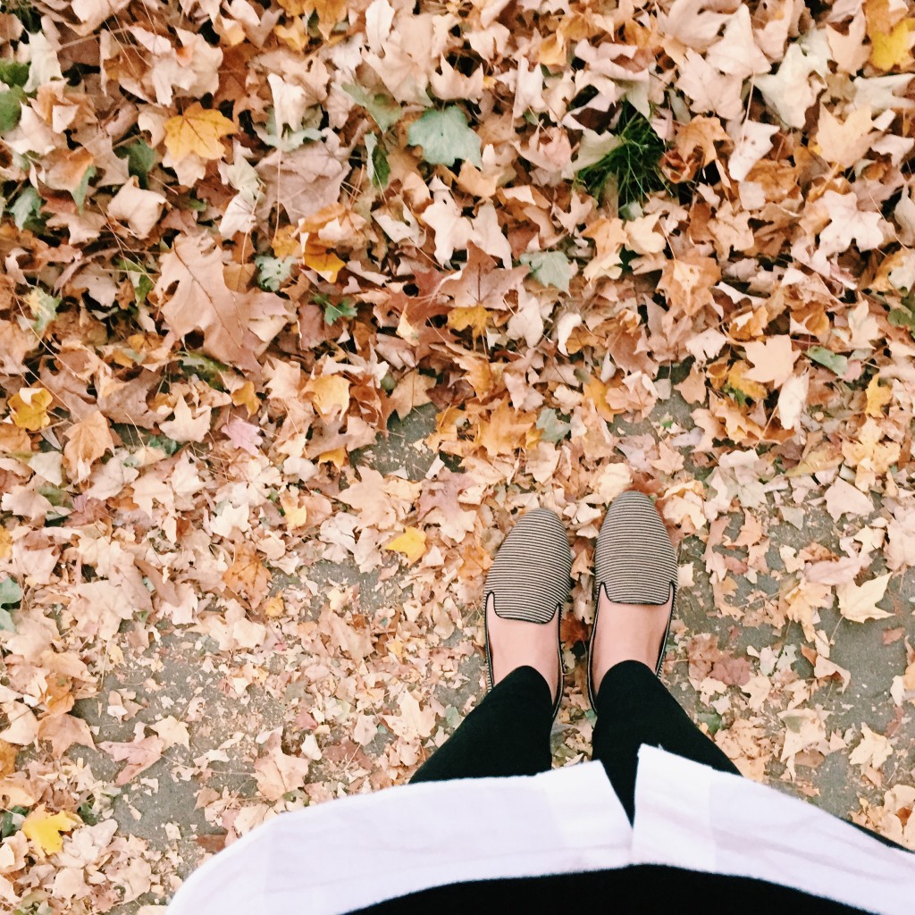 10 Things to do in Fall | by gabriella