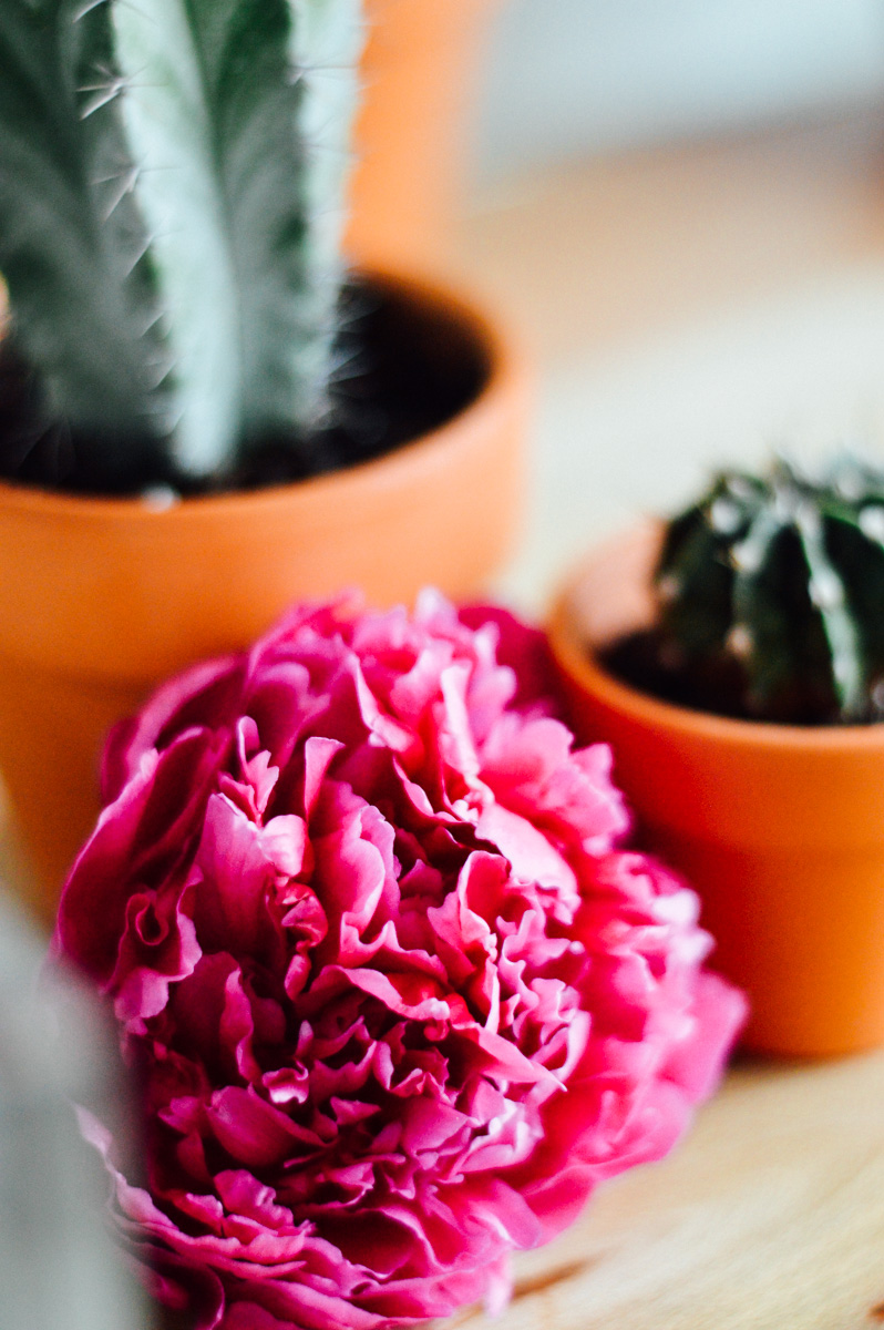 Bright florals and prickly cacti for Cinco de Mayo / bygabriella.co