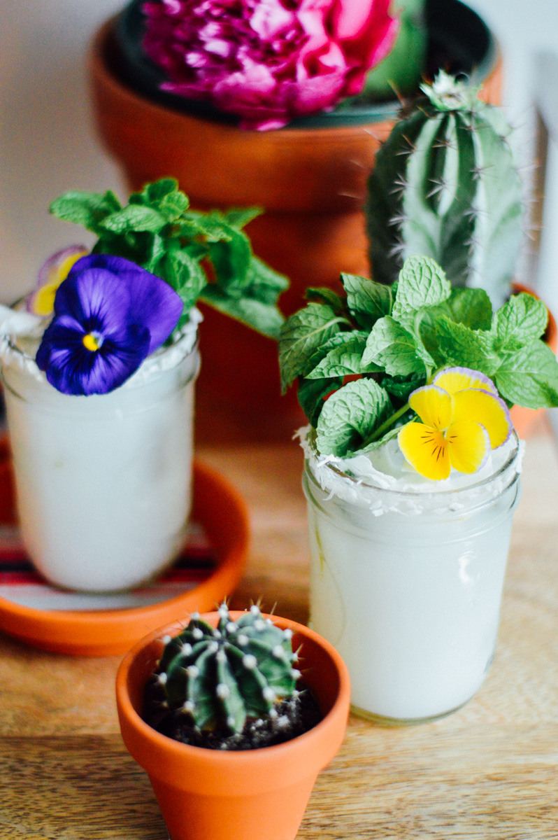 Tropical Coconut Margarita on Any Excuse to Party for Cinco de Mayo / bygabriella.co