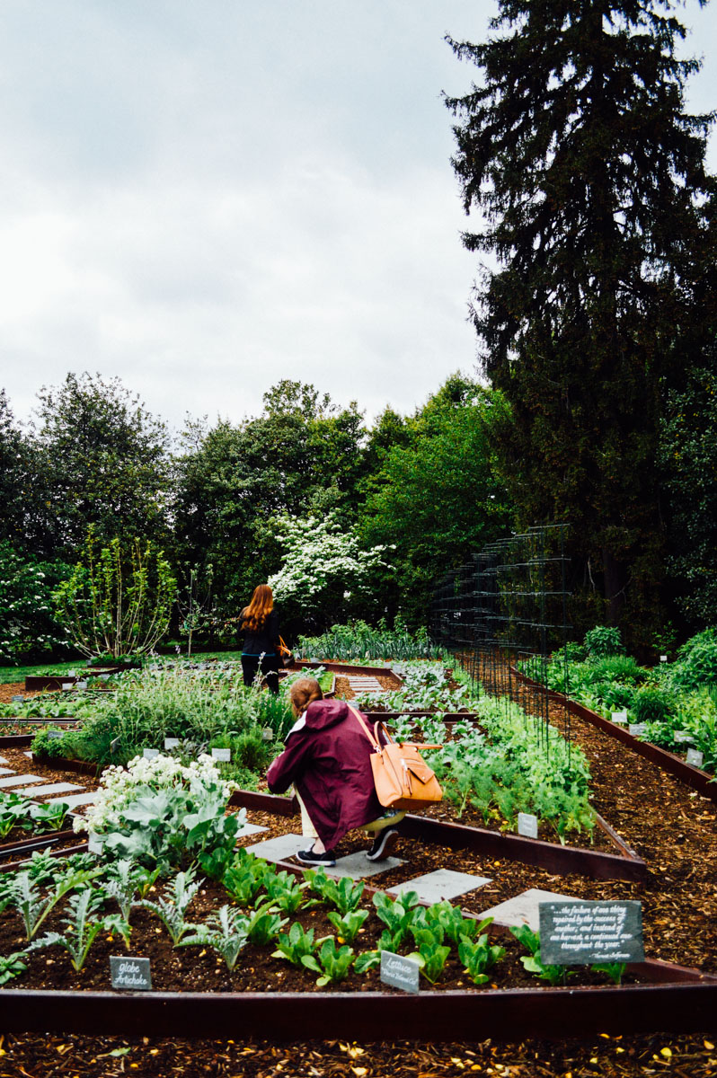 Take a peek at First Lady Michelle Obama's kitchen garden at the White House. The perfect way to spend National Park Week! / bygabriella.co
