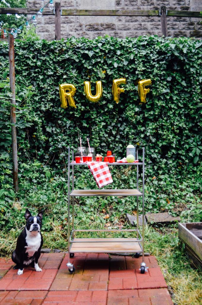 Use what you've got - in this case, an ivy wall - and create the perfect easy, affordable puppy party / bygabriella.co