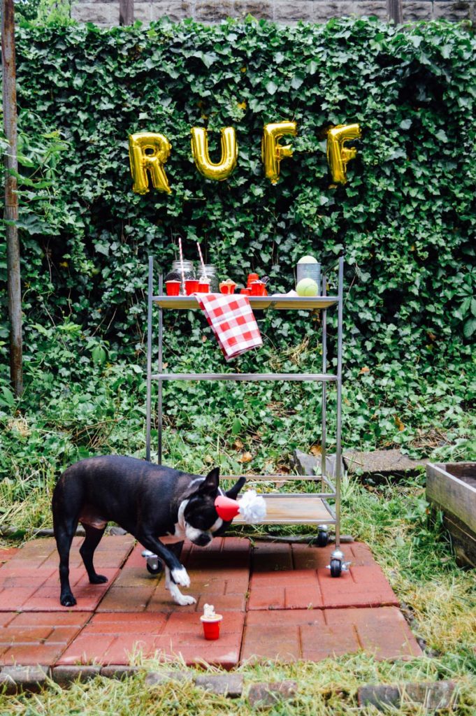 How to throw a fun, affordable summer puppy party! / bygabriella.co
