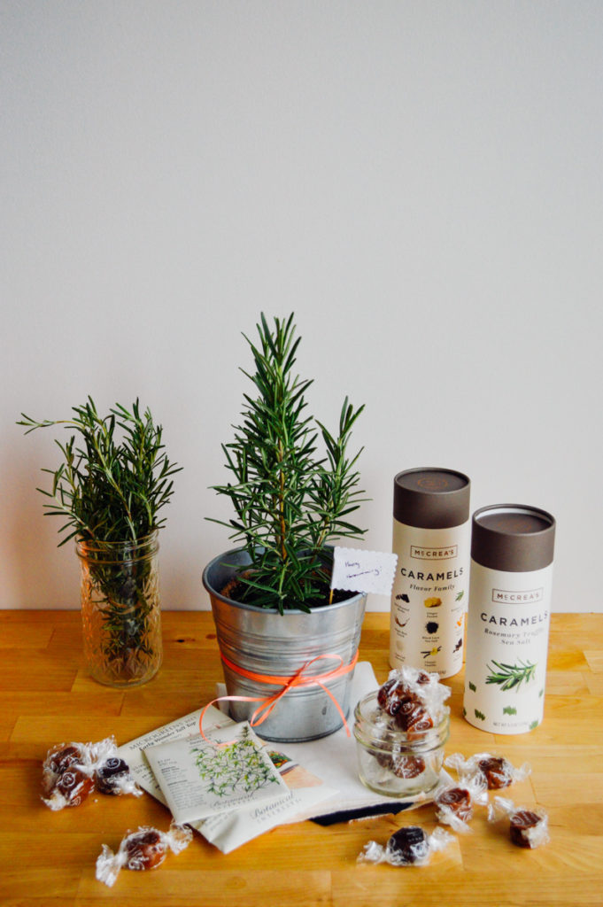 Bring a rosemary housewarming gift next time you're celebrating a friend's new home! / bygabriella.co