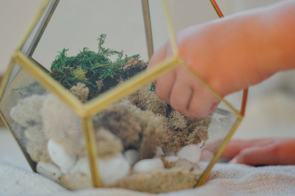 DIY Decorative Terrarium project tip: Start with some light sand and rocks as your base | bygabriella.co