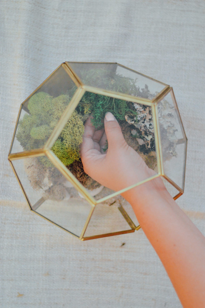 DIY Decorative Terrarium project tip: Start with some light sand and rocks as your base | bygabriella.co