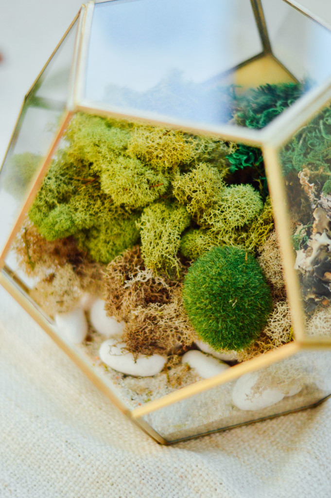 A DIY decorative terrarium project that you can totally customize to make your own. Click through for the full DIY directions | bygabriella.co