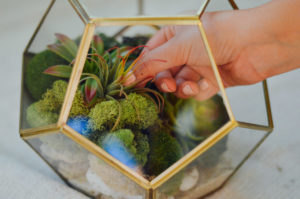 Make your own easy DIY decorative terrarium with sand, stones, moss, and faux succulents | bygabriella.co