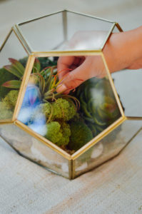 DIY decorative terrarium project: Use faux succulents as your point of focus, and surround it with moss | bygabriella.co