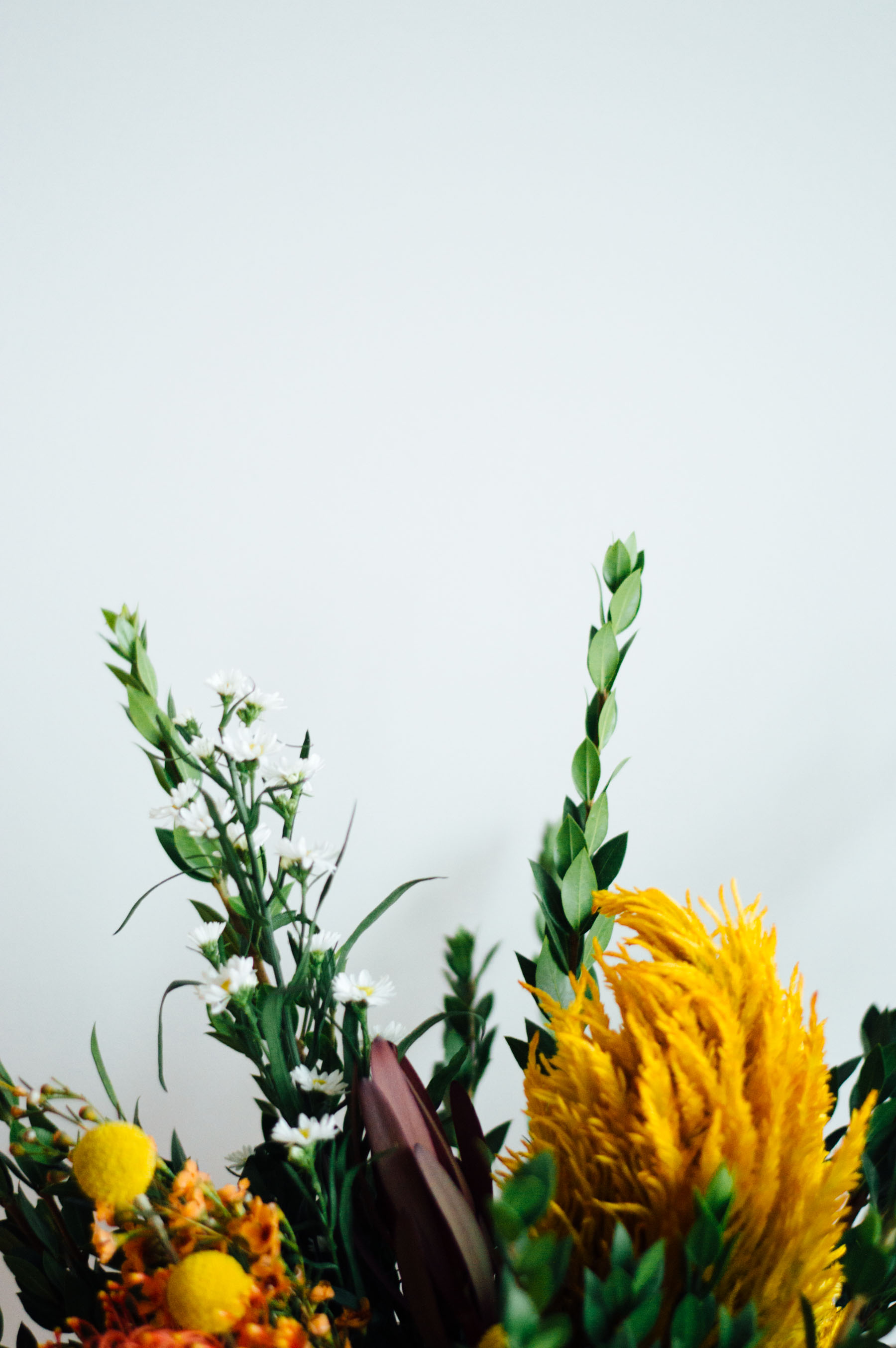 Easy DIY project: An autumn-inspired floral arrangement under $50 | bygabriella.co