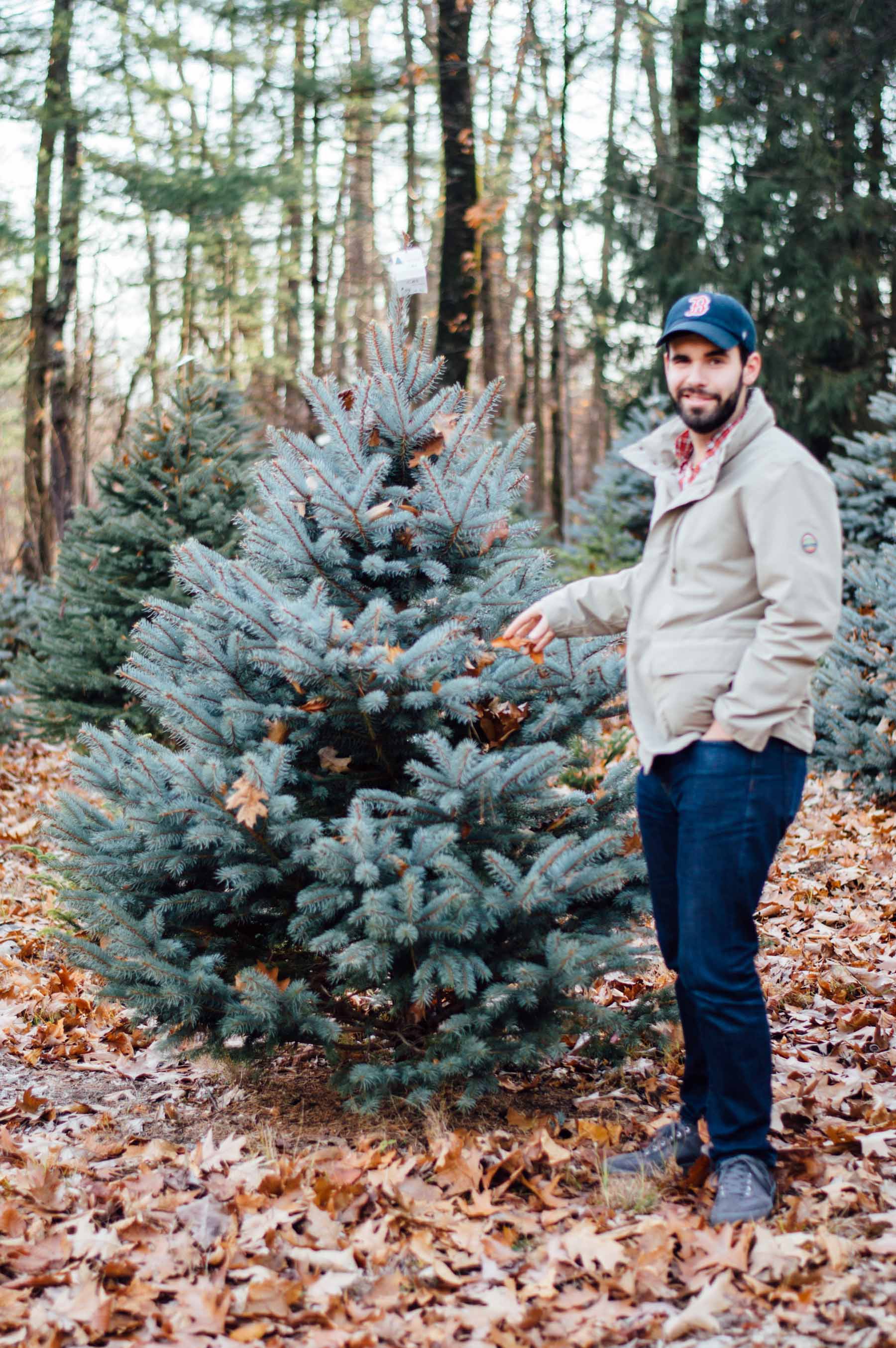 A Festive Christmas Tree Farm outing in Massachusetts (in Pendleton) | bygabriella.co