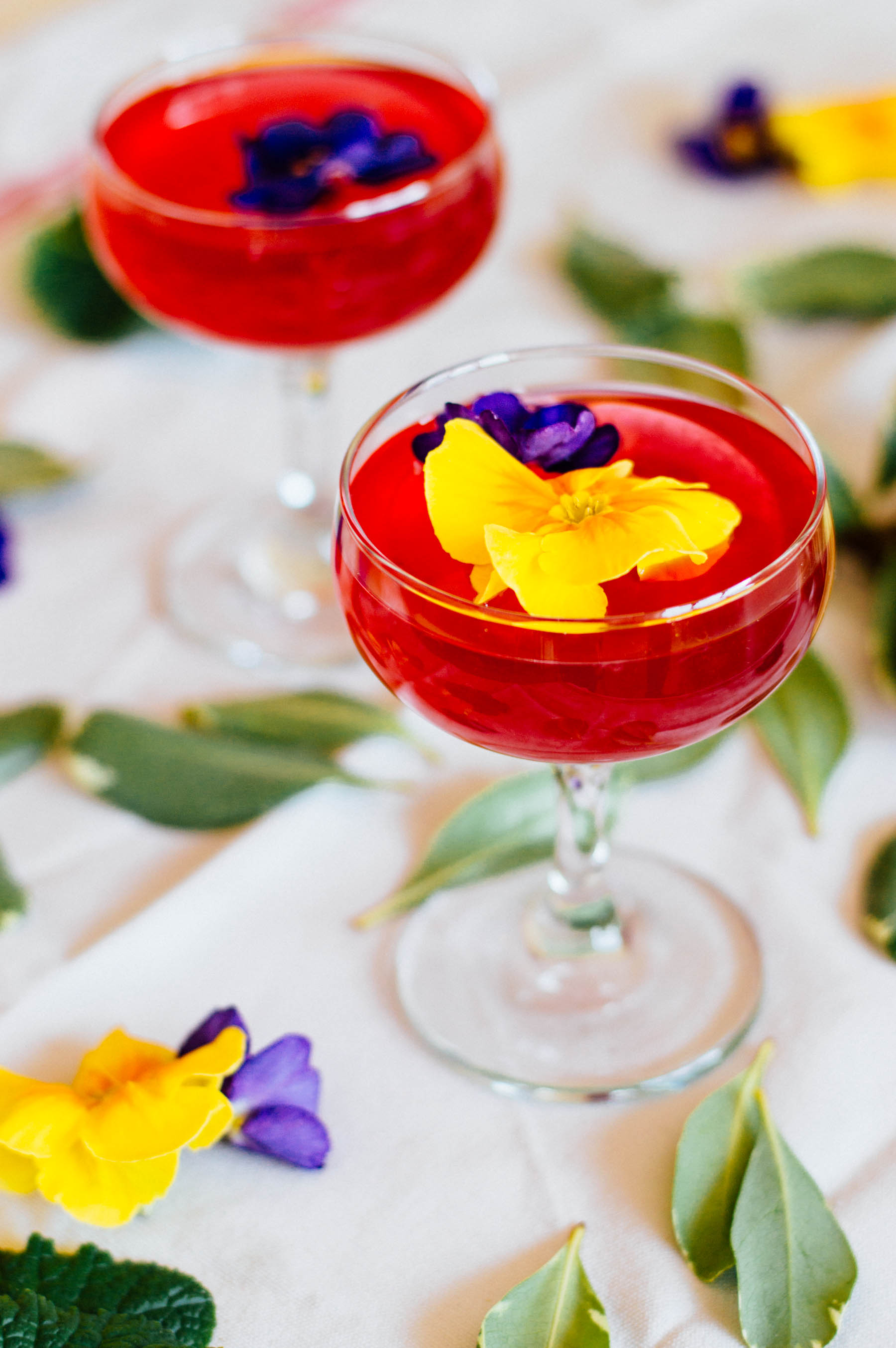 An herbal Hibiscus Gin Gimlet recipe with you guessed it - herbal tea and edible flowers! Click through for the full recipe | bygabriella.co