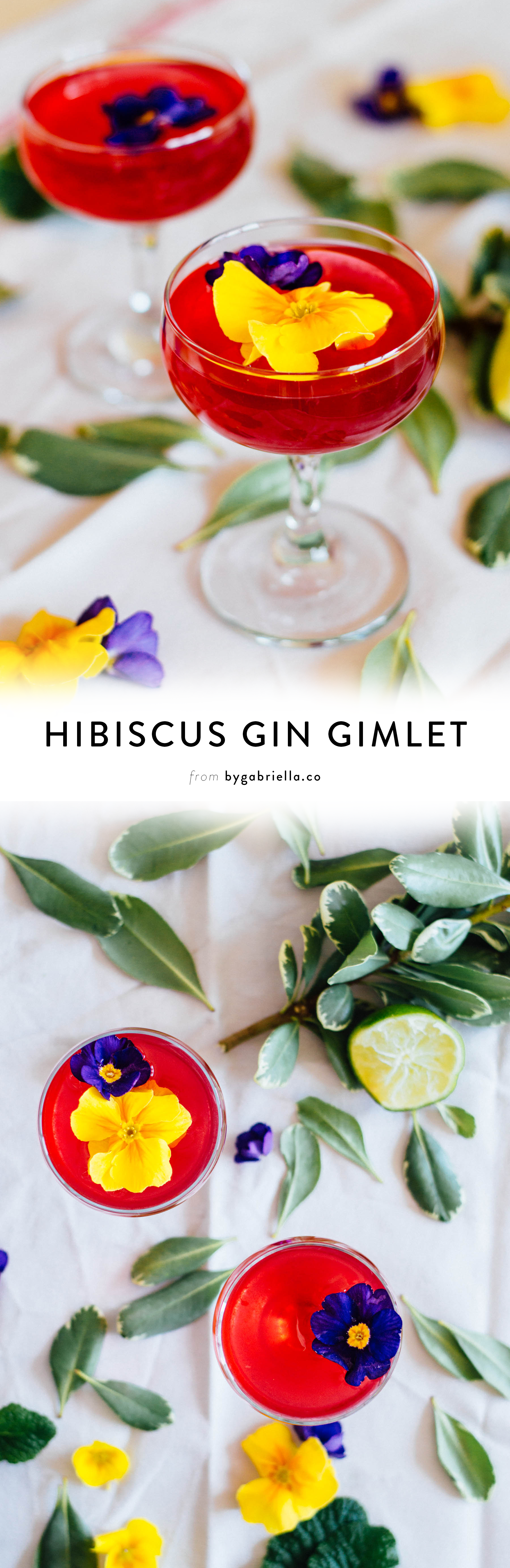 An herbal Hibiscus Gin Gimlet recipe with you guessed it - herbal tea and edible flowers! Click through for the full recipe | bygabriella.co