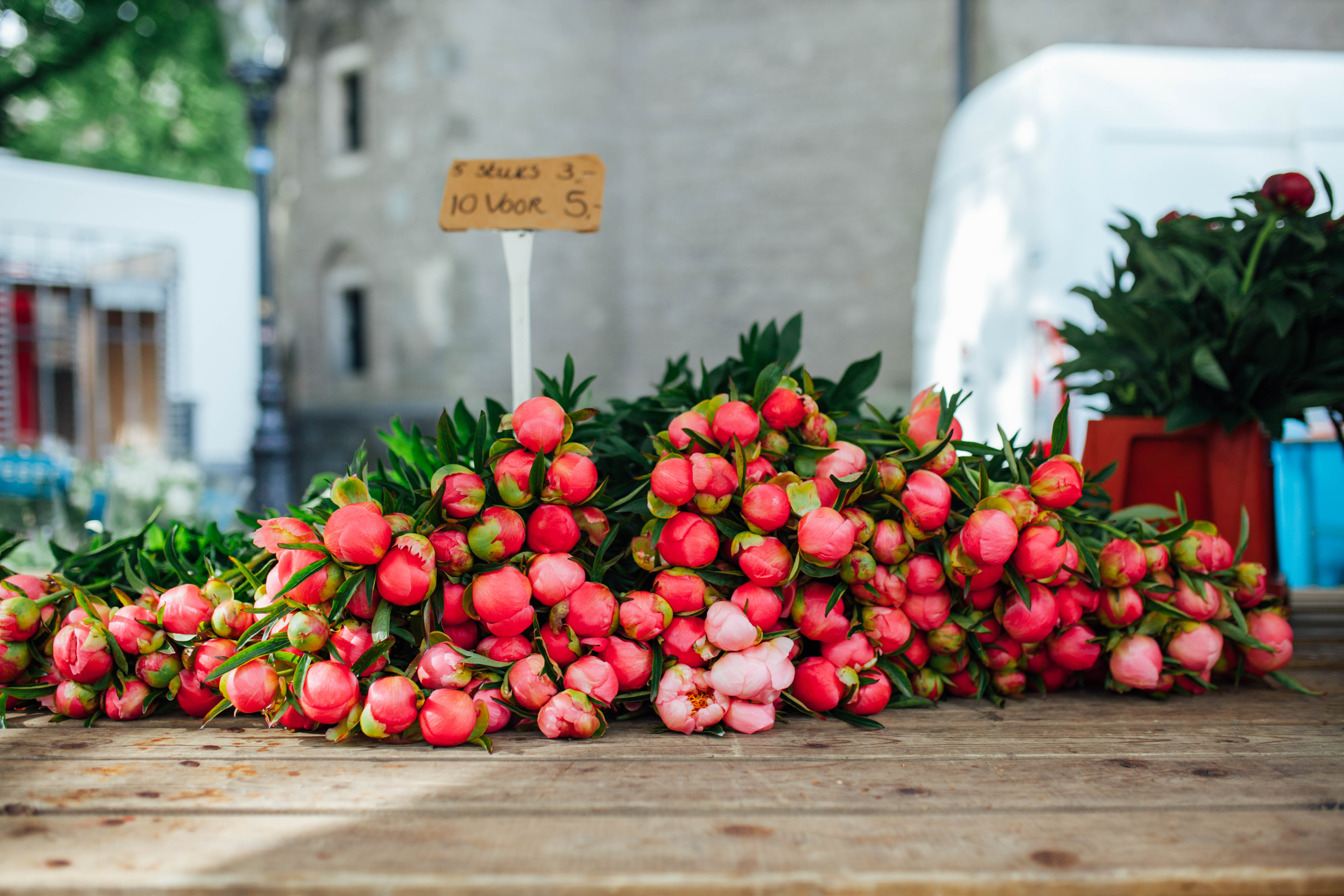 The most beautiful blooms from European Flower Markets in Utrecht, Holland | bygabriella.co