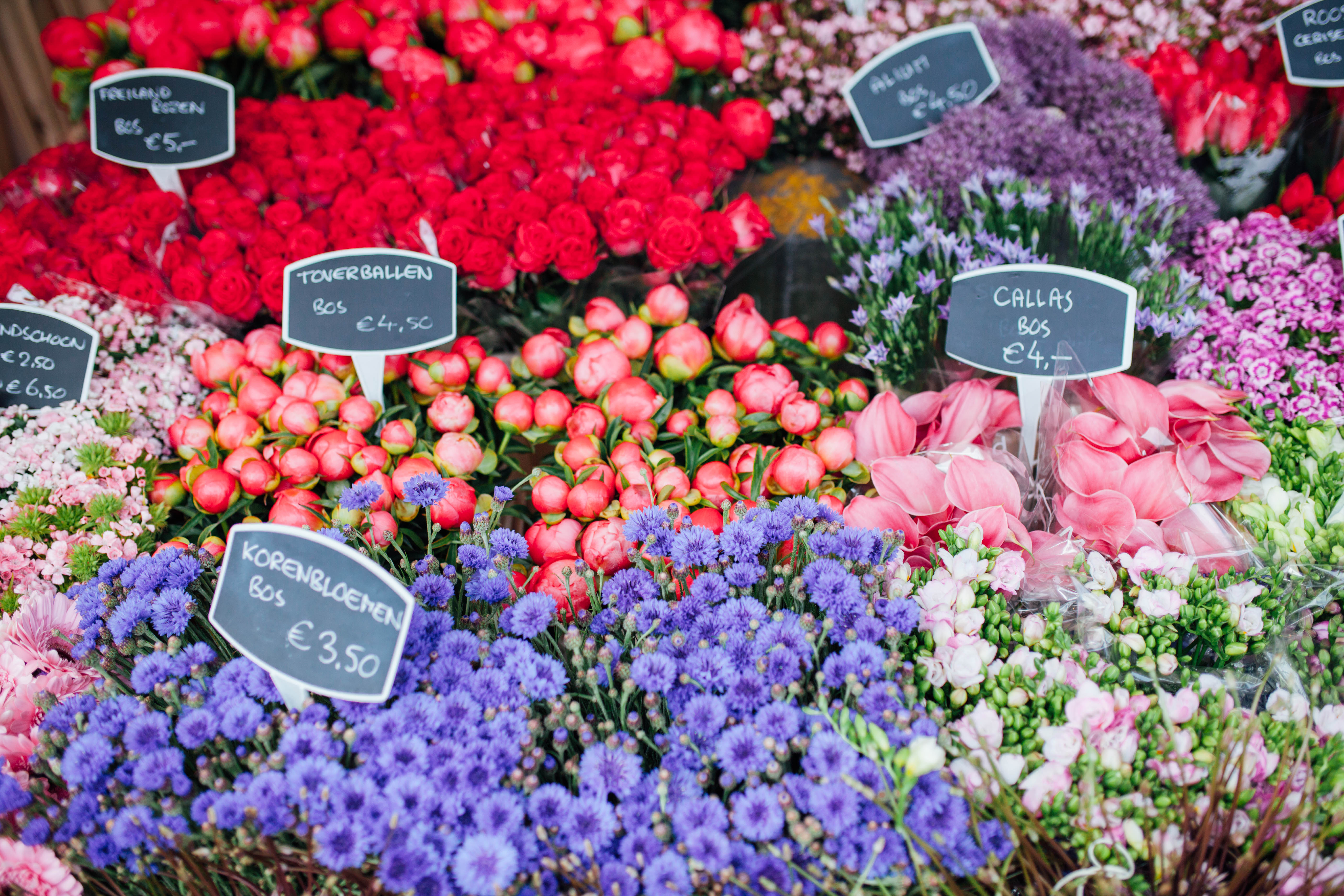 The most beautiful blooms from European Flower Markets in Utrecht, Holland | bygabriella.co