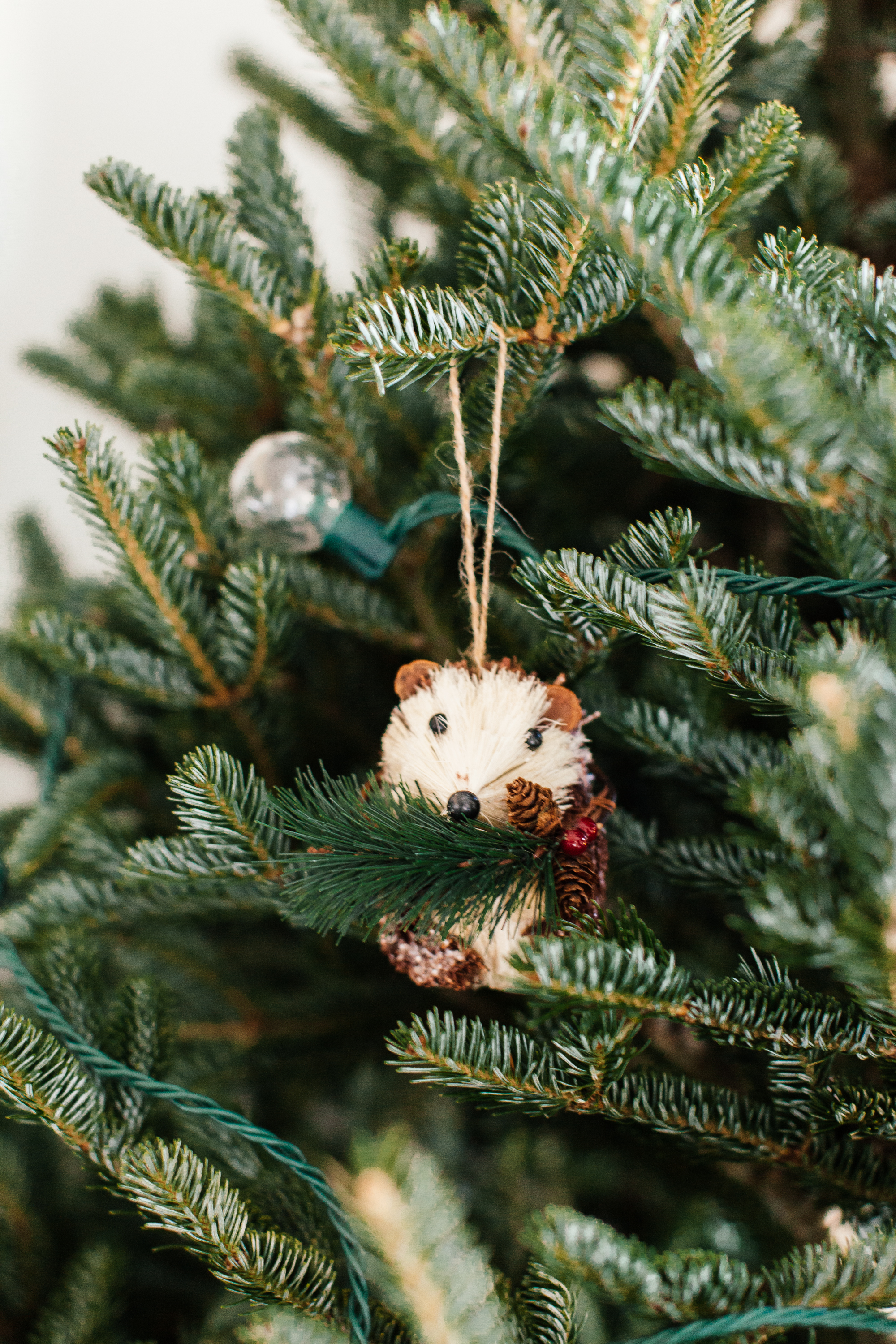 Celebrating our holiday traditions, old & new, with Wayfair. | bygabriella.co