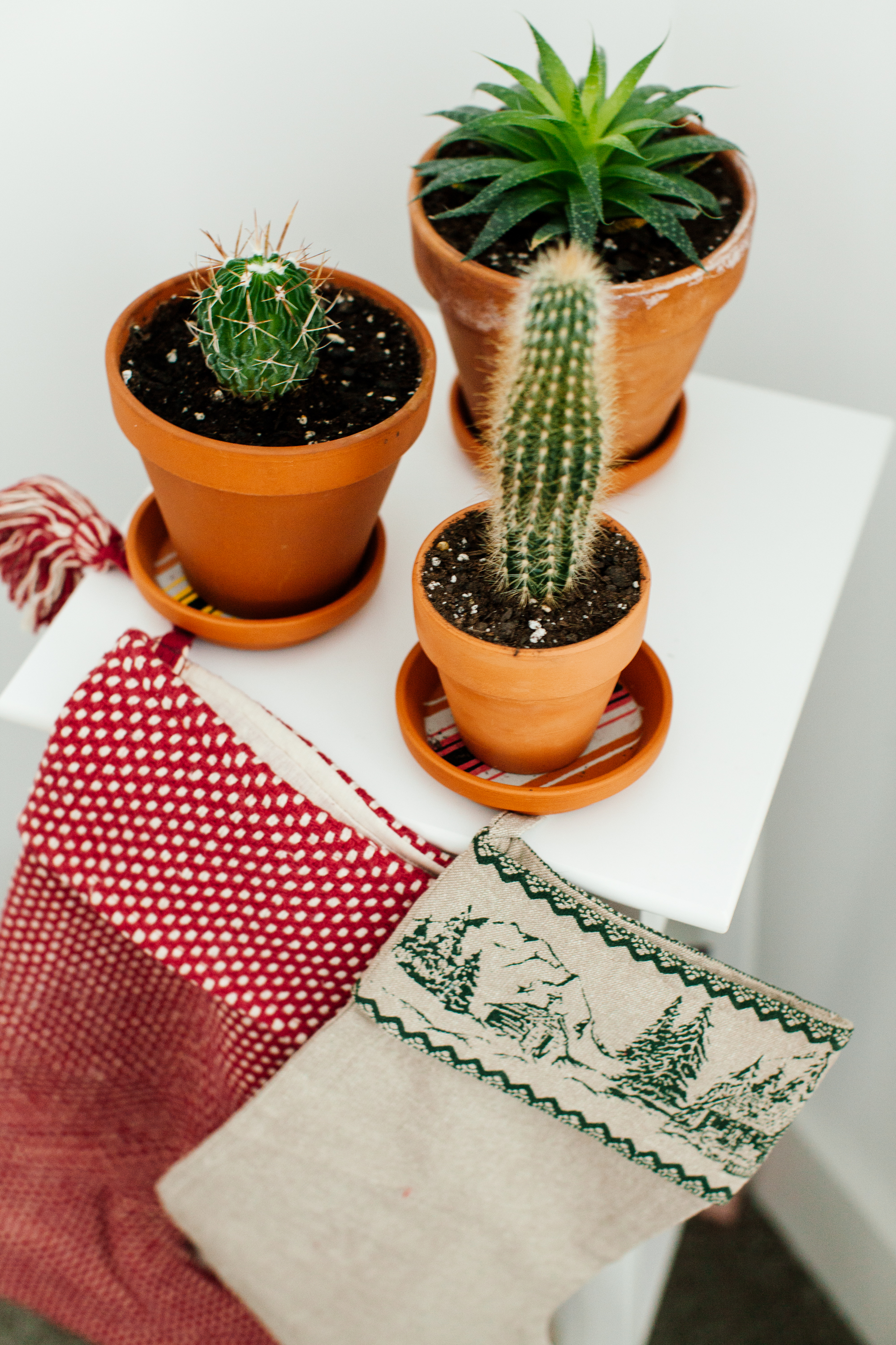 Celebrating our holiday traditions with the sweetest Wayfair holiday/Christmas stockings. | www.bygabriella.co