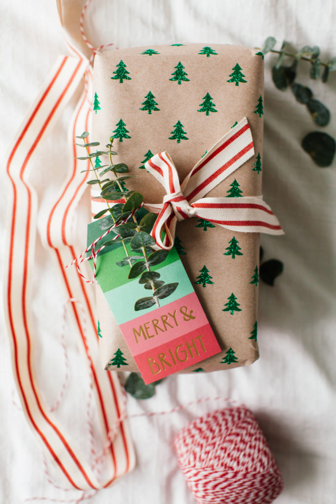 Gift Wrapping with Eucalyptus for the Holidays By Gabriella