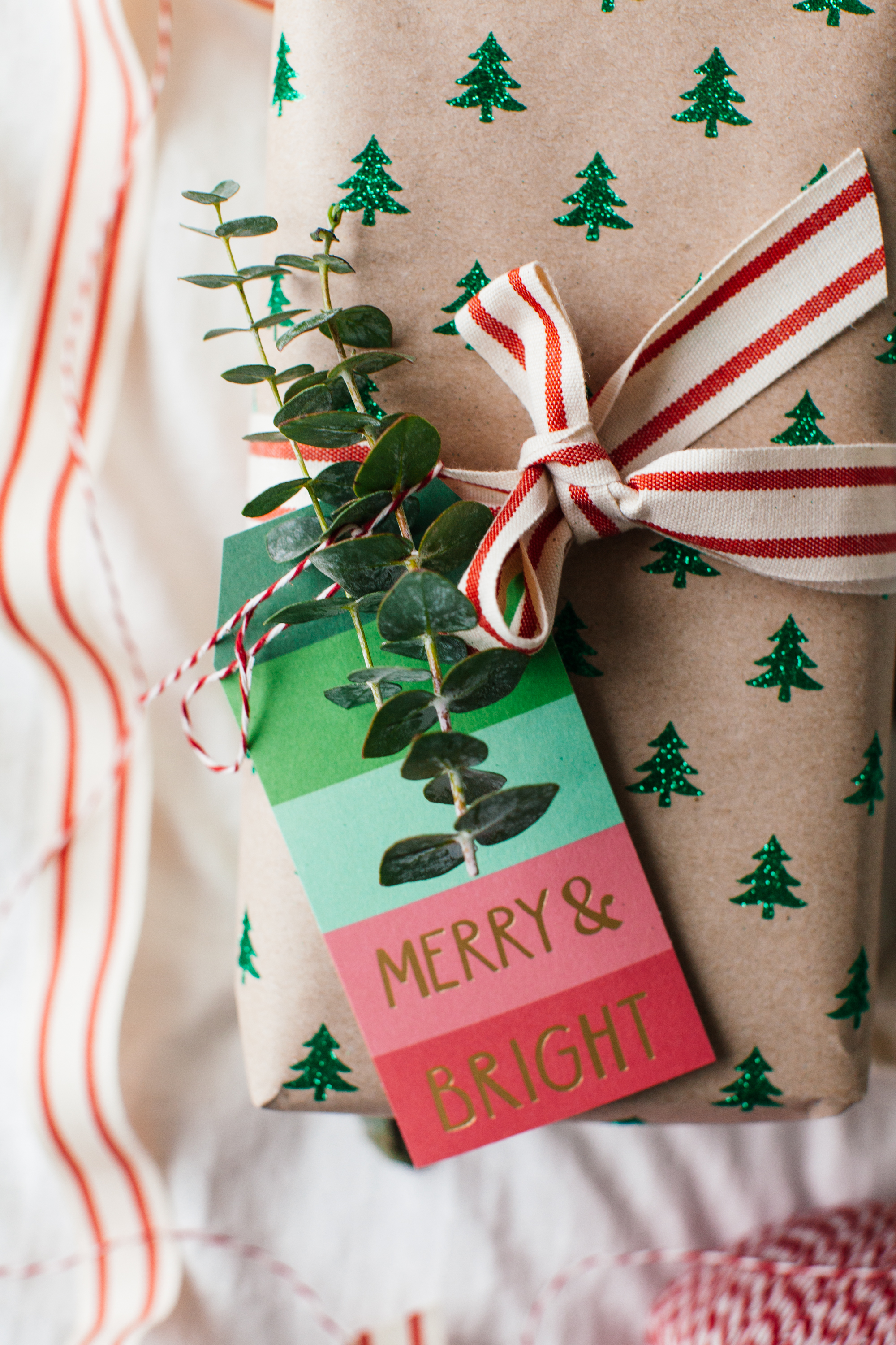 Gift wrapping with eucalyptus because why not? | bygabriella.co