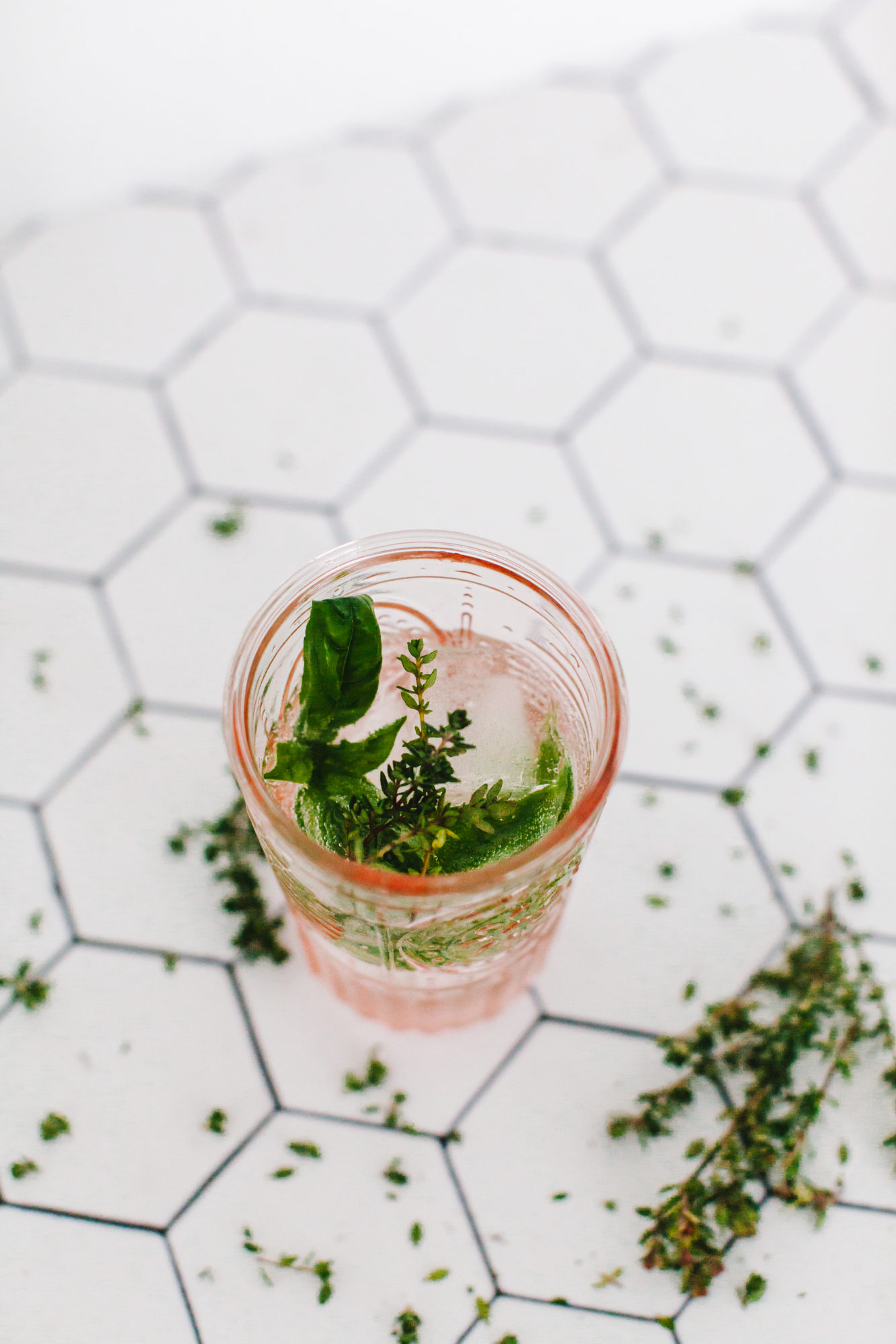 Lemon Thyme Gin and Tonic By Gabriella