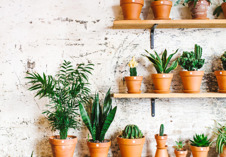 Dreamiest coffee shop in Barcelona, Spain | bygabriella.co @gabivalladares