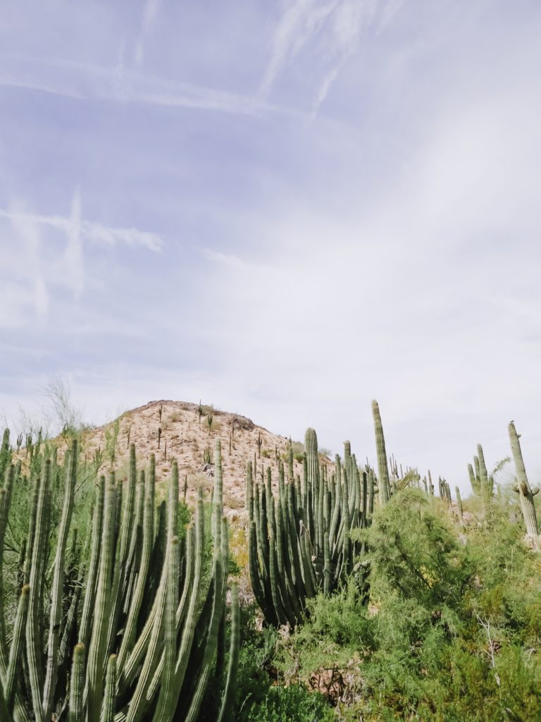 Visiting Arizona | bygabriella.co @gabivalladares