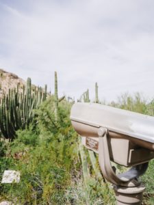 Visiting Arizona | bygabriella.co @gabivalladares