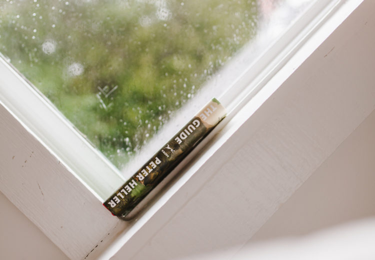 The Guide by Peter Heller: A book review by Gabi LePage | bygabriella.co